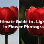 Beyond the Bloom: Photographer’s Guide to Natural Light for Flowers