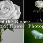 Beyond the Bloom: Learning from Famous Flower Photographers and Their Styles