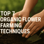 Hands gently planting a young flower seedling in rich organic soil with a small gardening trowel beside it, under warm natural sunlight — symbolizing sustainable and organic flower farming techniques.